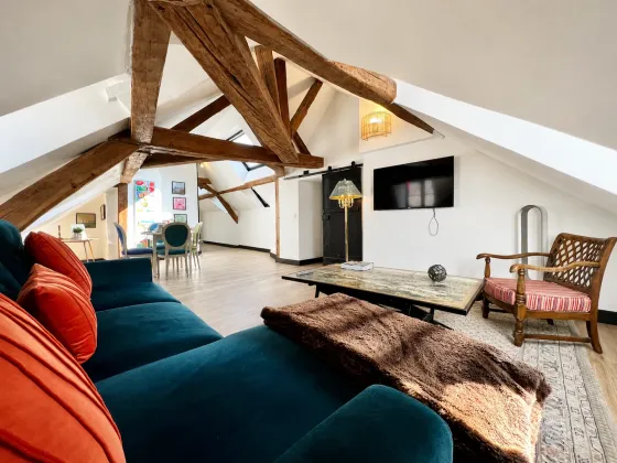 Loft de luxe royal — INSEAD Fontainebleau housing, photo 2