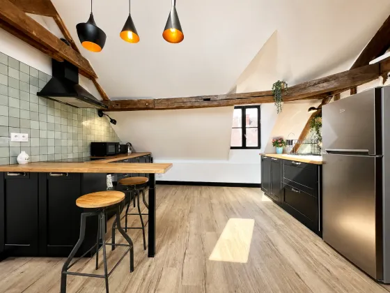 Loft de luxe royal — INSEAD Fontainebleau housing, photo 4
