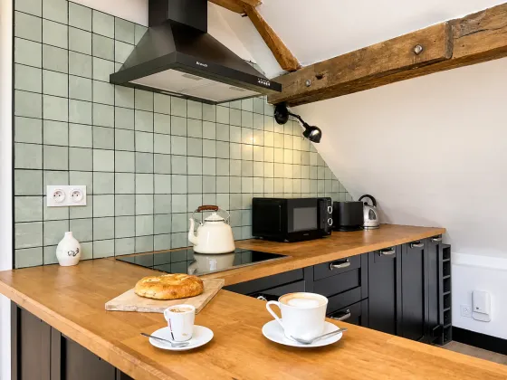 Loft de luxe royal — INSEAD Fontainebleau housing, photo 5
