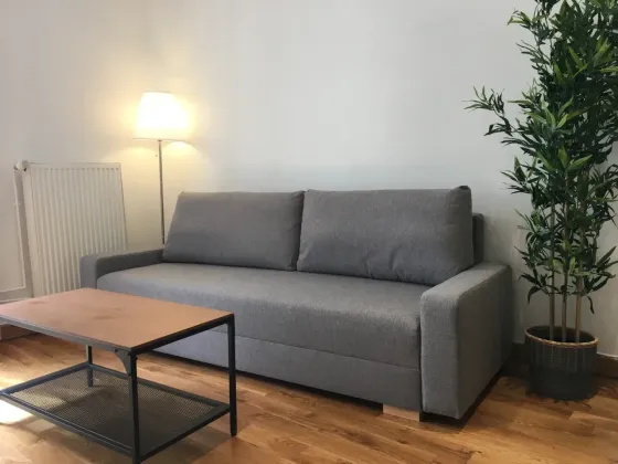 Flat Paris — INSEAD Fontainebleau housing, photo 3